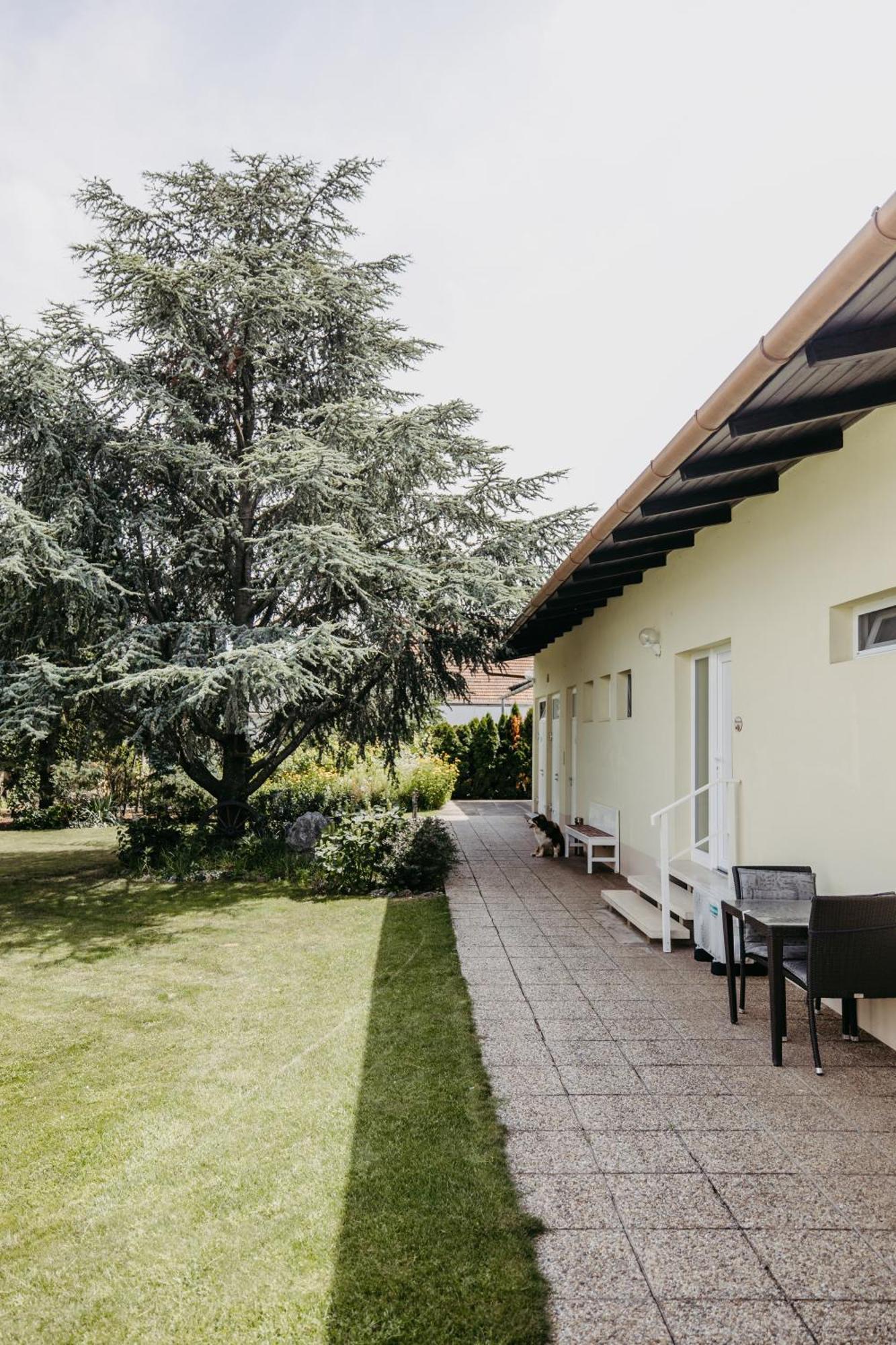 Gaestehaus Josef Lang Andau Экстерьер фото
